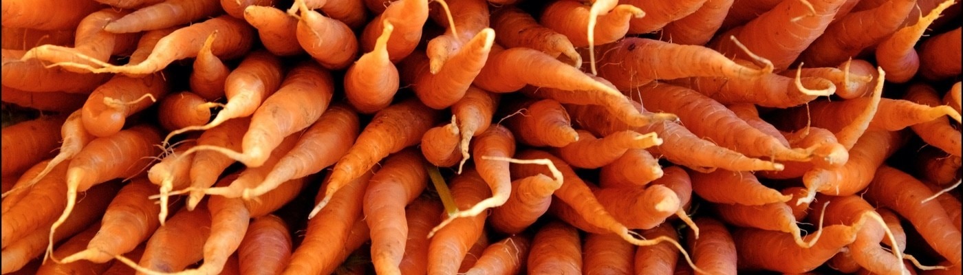 carrots