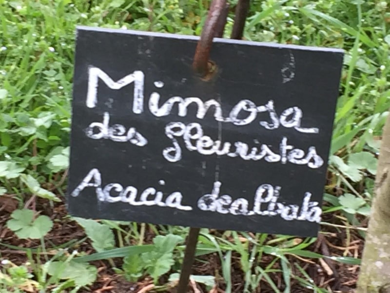 Sign of the Mimosa garden