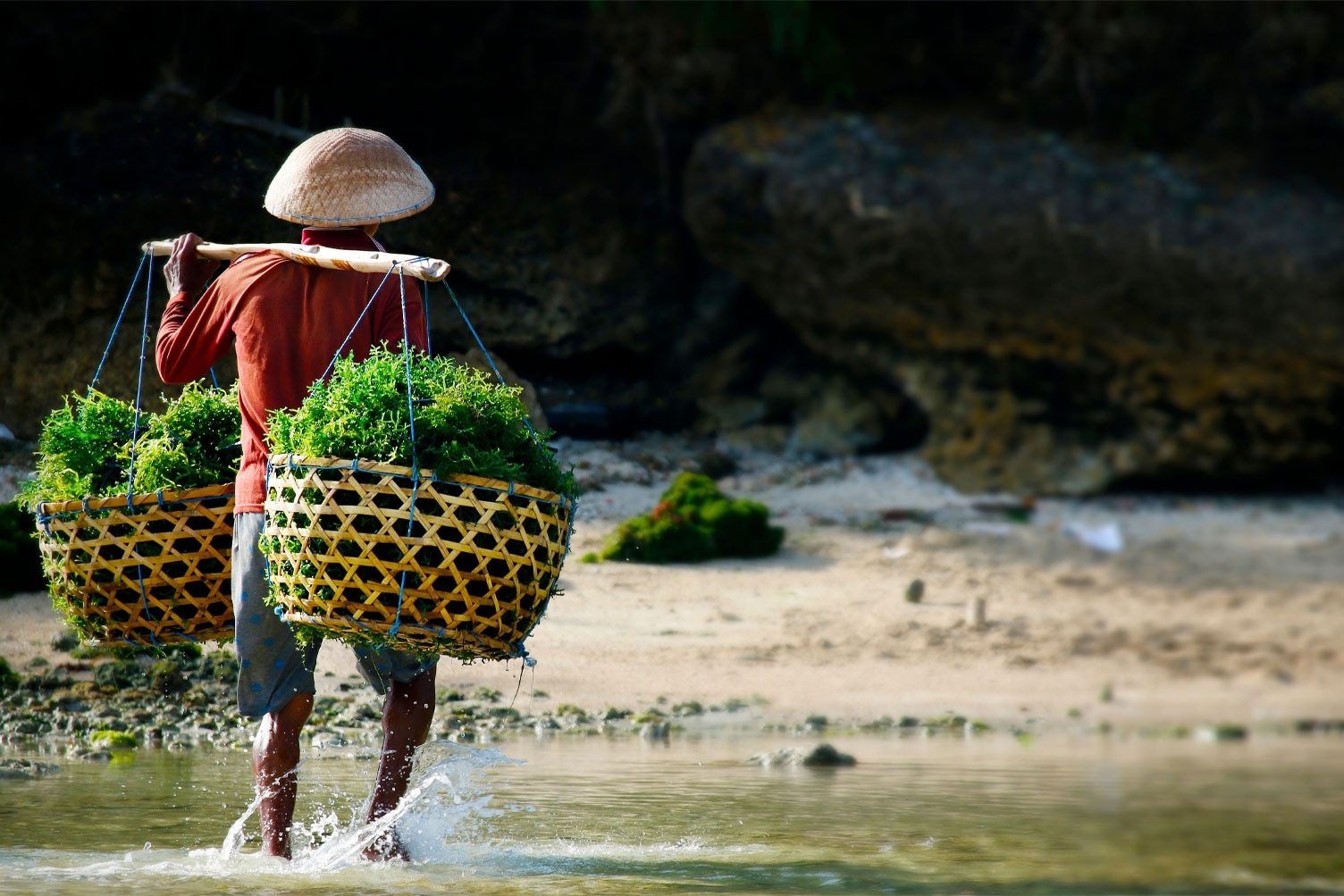 Seaweed-farmer