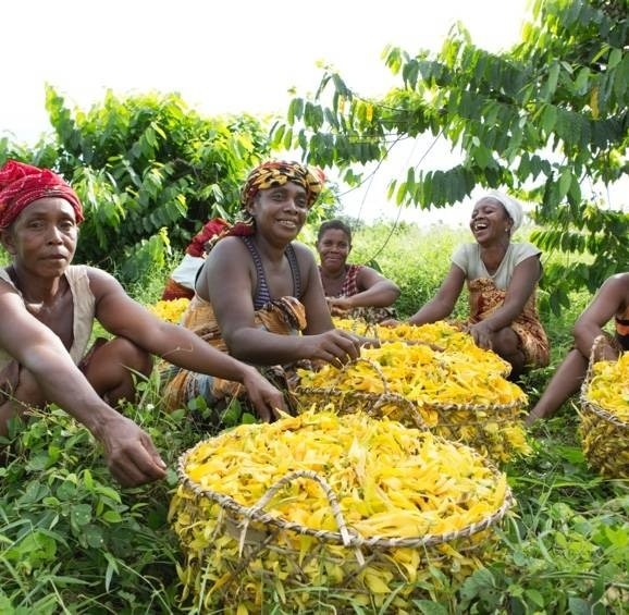 happy farmers