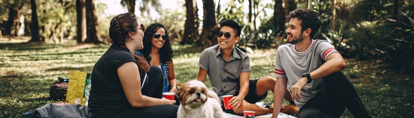 group of friends in a picnic